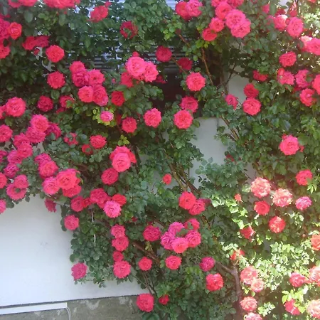 亨特里格公寓 3*